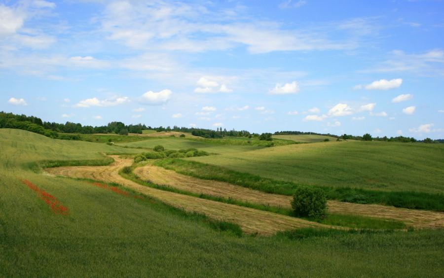 Pofałdowany krajobraz po drodze