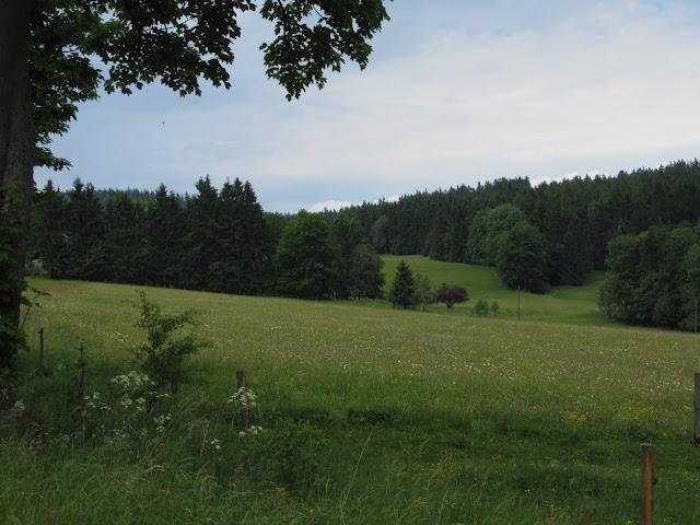 Piekny widok na łąki