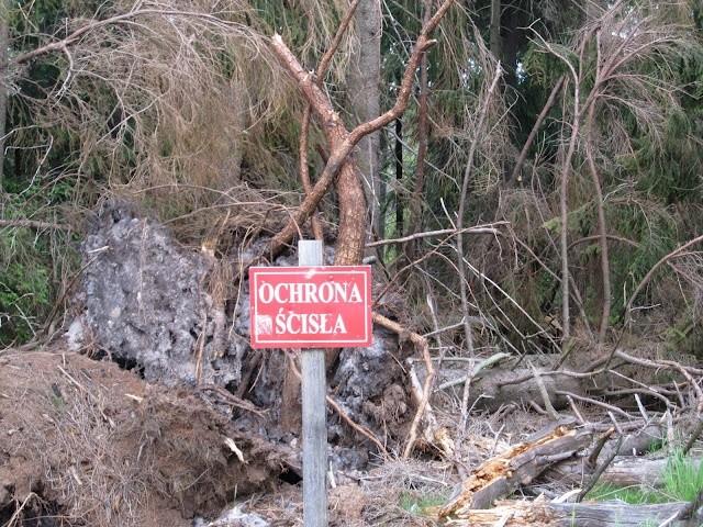 Ochrona ścisła