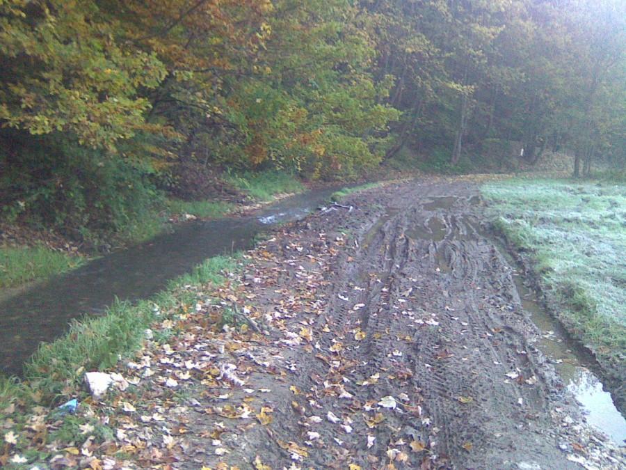 Trasy rowerowe moje okolice 02