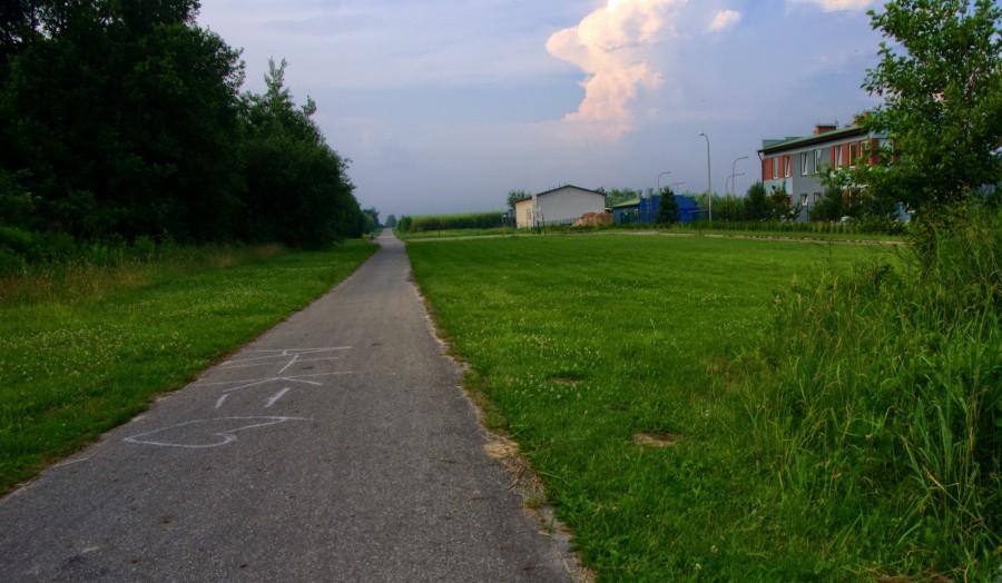 Droga techniczna gdzieś za Pszczyną
