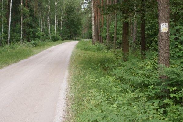 żółtym rowerowym