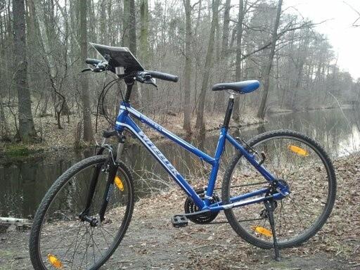 wheleer