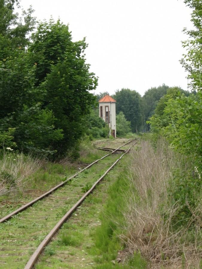 wjazd od strony Grójca na stację Tarczyn Wąskotorowy w Rudej