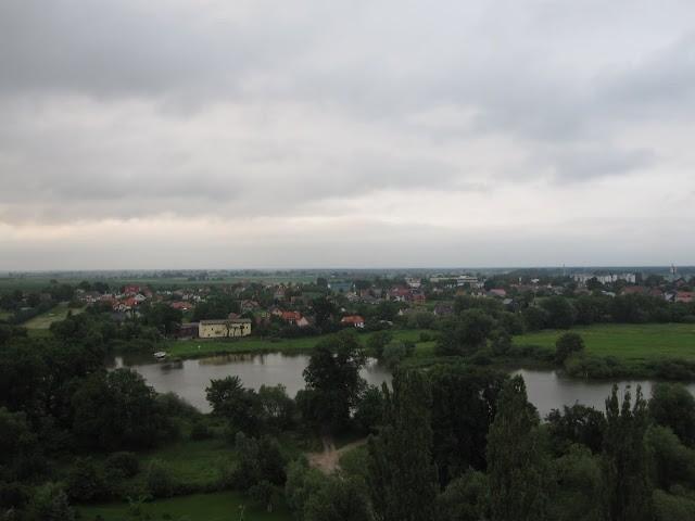 Piękny widok na Odrę z wieży widokowej