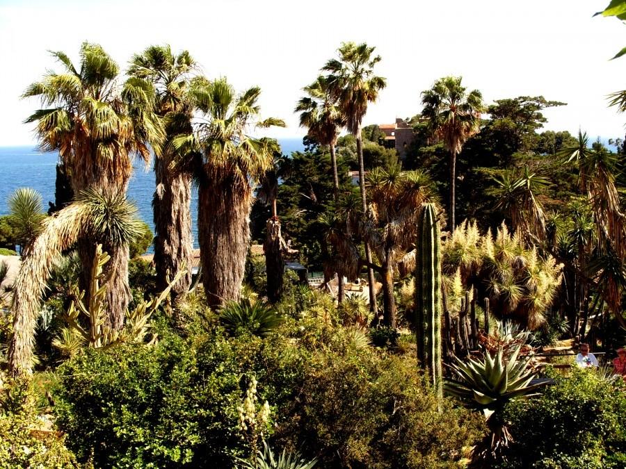 Ogród botaniczny w Blanes