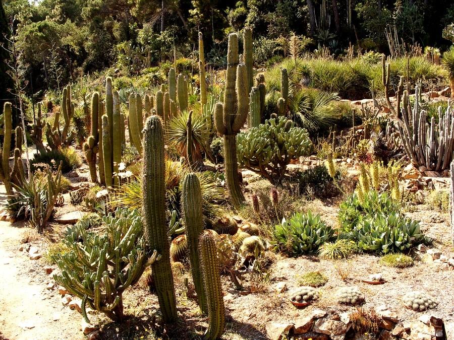 Ogród botaniczny w Blanes