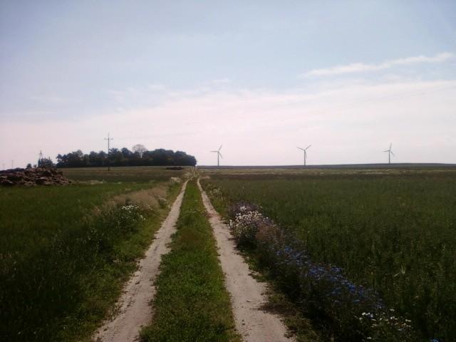 Bechcice - turbiny wiatrowe