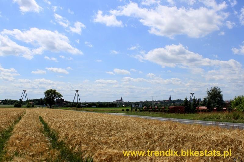 widok Stargardu od strony Grabowa