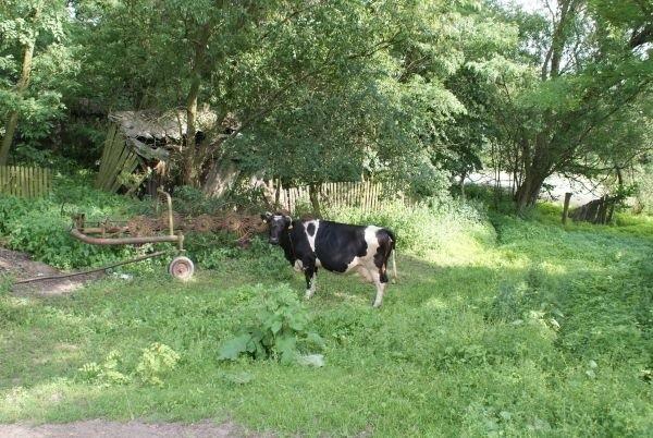 tutaj czas się zatrzymał
