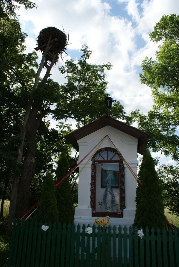 w Żądłowicach