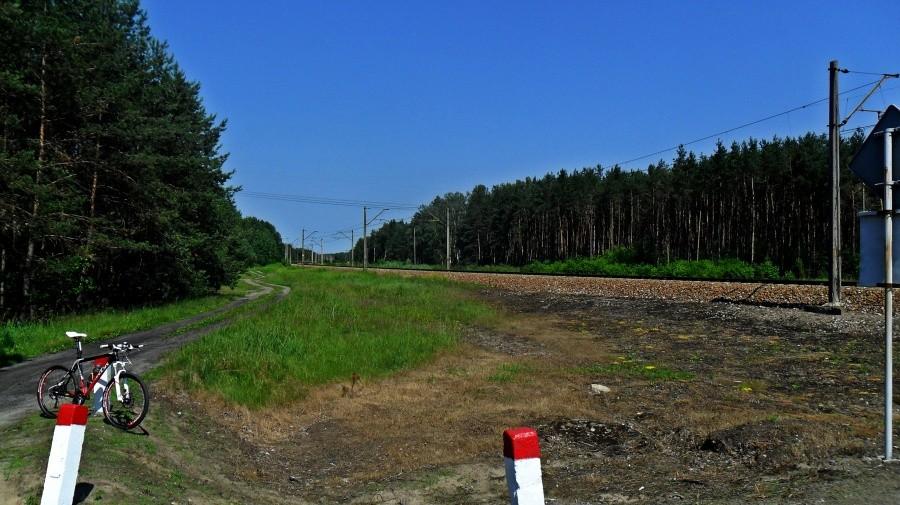 Koło przejazdu kolejowego za Gołębiem