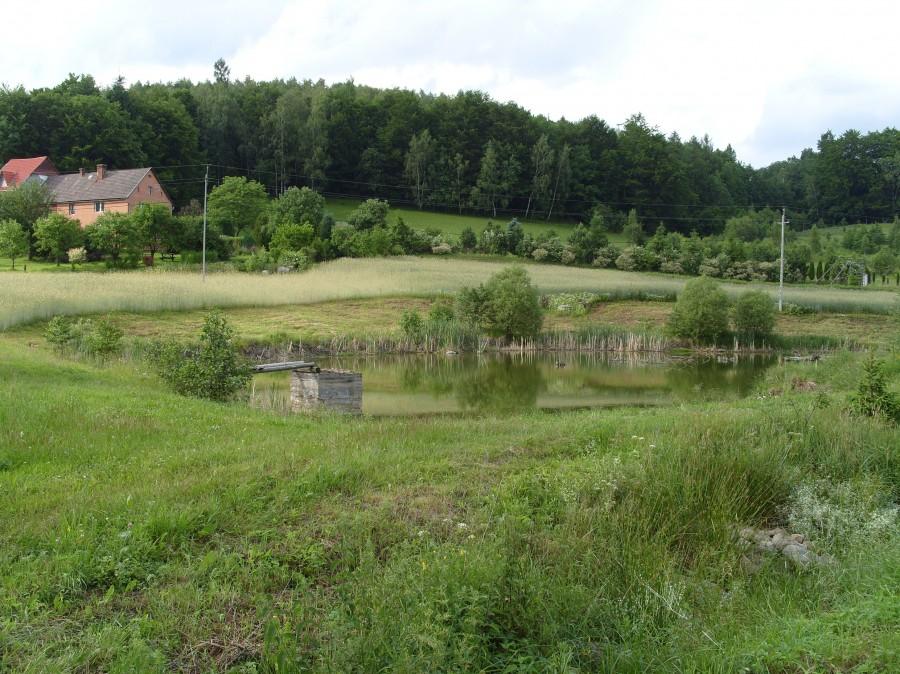 Mały stawik na początku sezonu jak tędy jechałem było masę żab a dzisiaj pusto dostały eksmisję czy co a może zaproszenie na żabie udka ;).