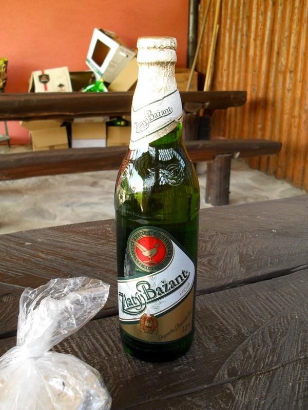 Zlatý Bažant