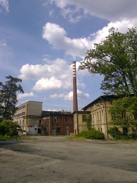 widoczny z daleka