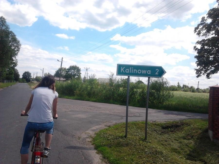 Drogowskaz na Kalinową