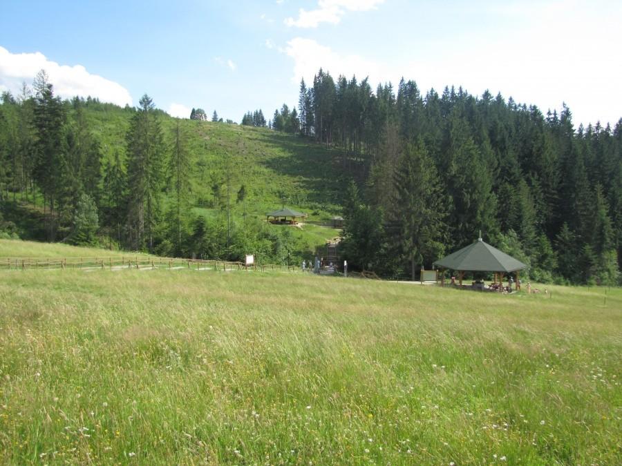 W dole styk trzech granic