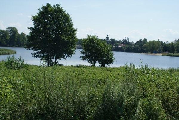 jezioro Drzewieckie