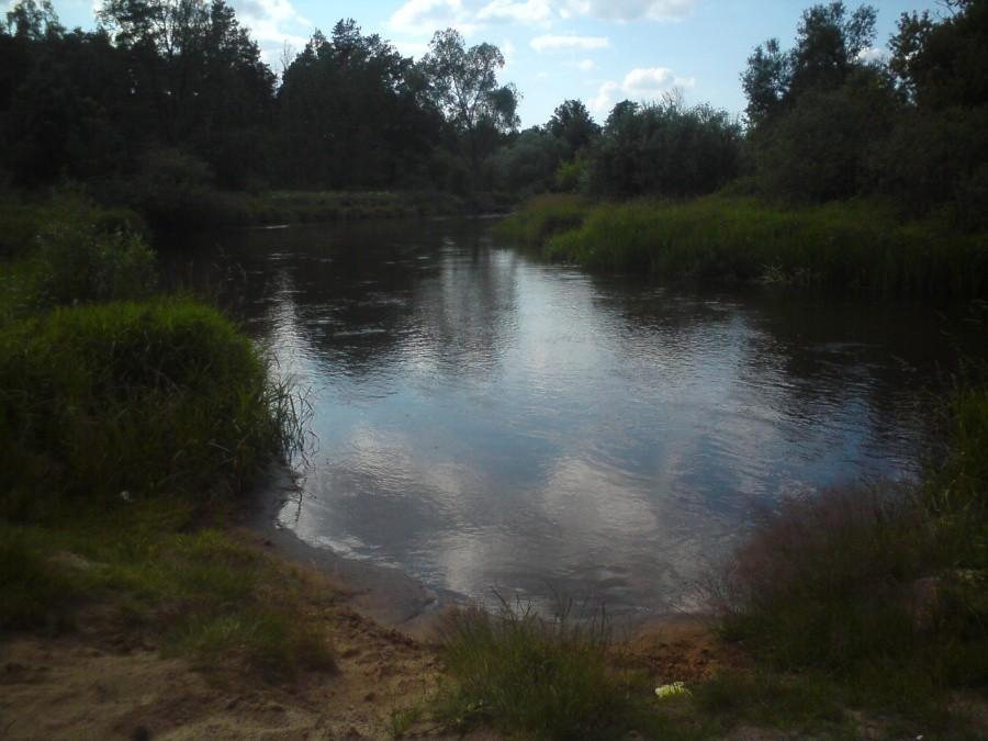 Plaża nad rzeką widawką