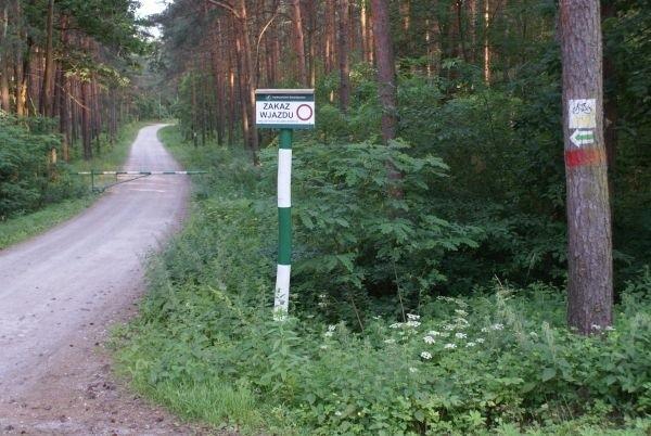 żółty szlak rowerowy