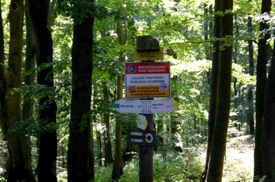 Jawornik