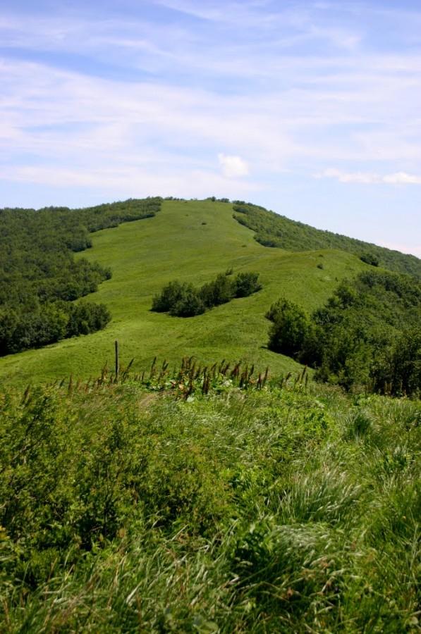 A tu już widok na Dziurkowiec, po zjeździe :)