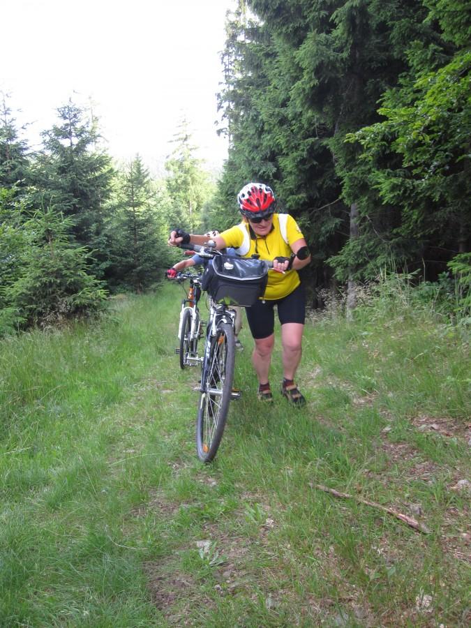 Na zielonym szlaku rowerowym z Przełęczy Jaworowej na Przełęcz Leszczynową