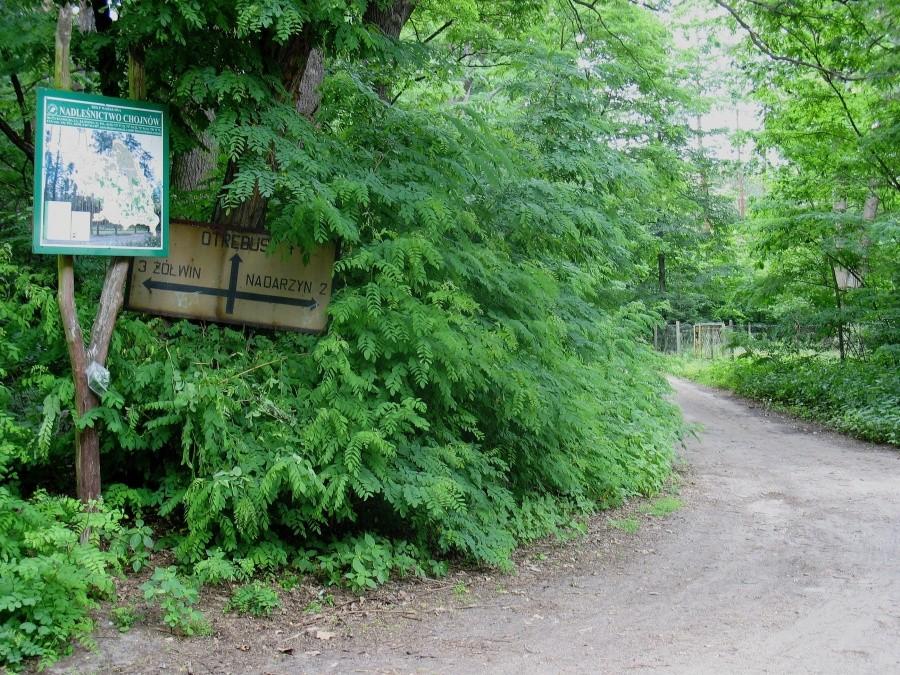 Skrzyżowanie w Stefance
