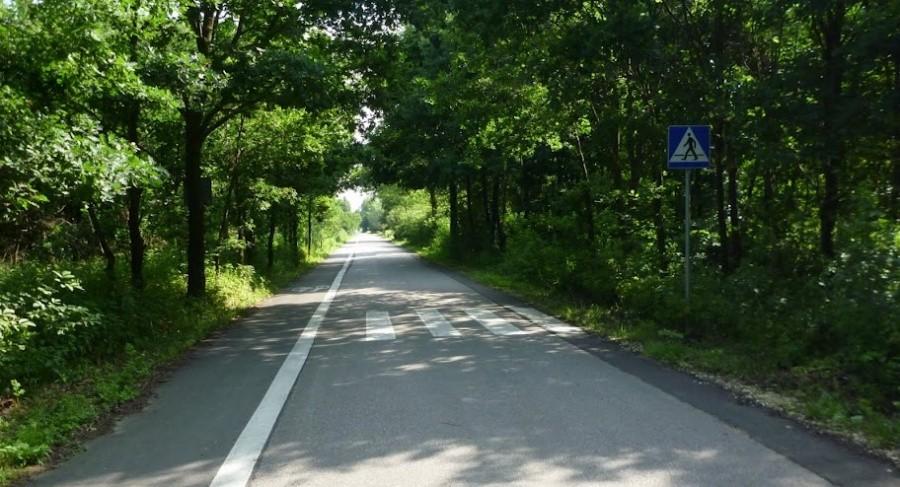 Czyżby pomyślano o zwierzynie leśnej?