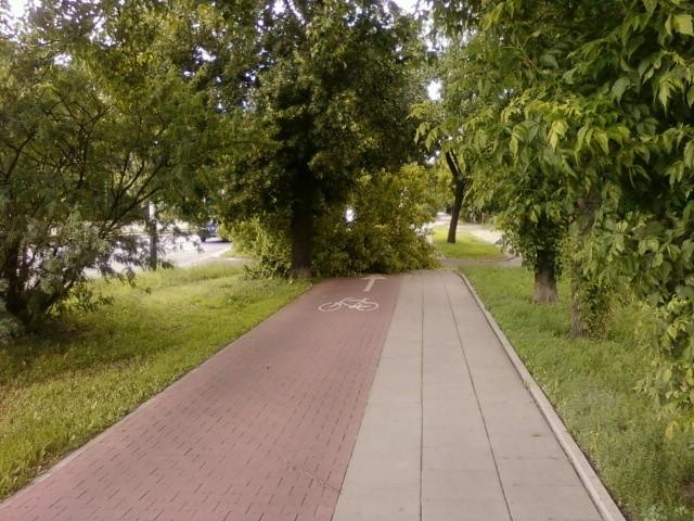 DDR Włókniarzy