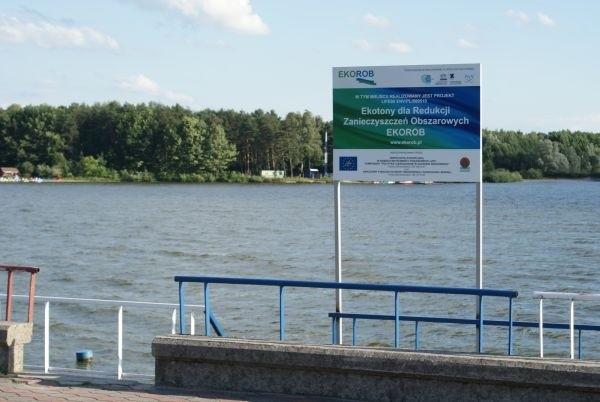są i ekotony na Jeziorze Sulejowskim
