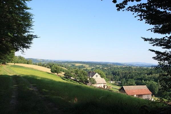 Chojnik