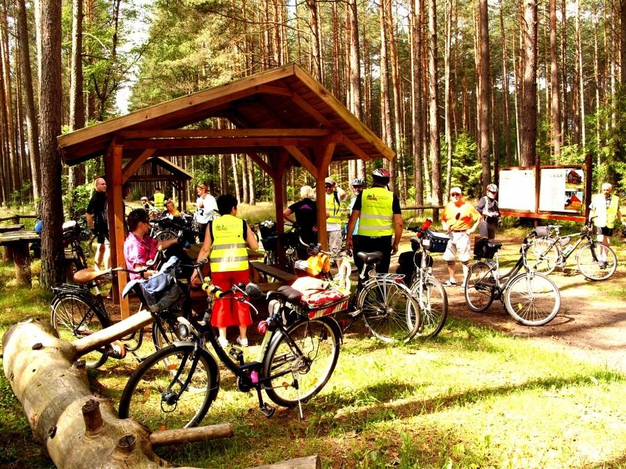Postój – okolice Bartla