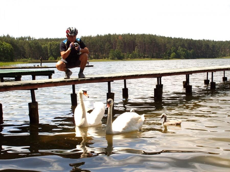 Marek uwiecznia na fotce łabędzią rodzinkę.