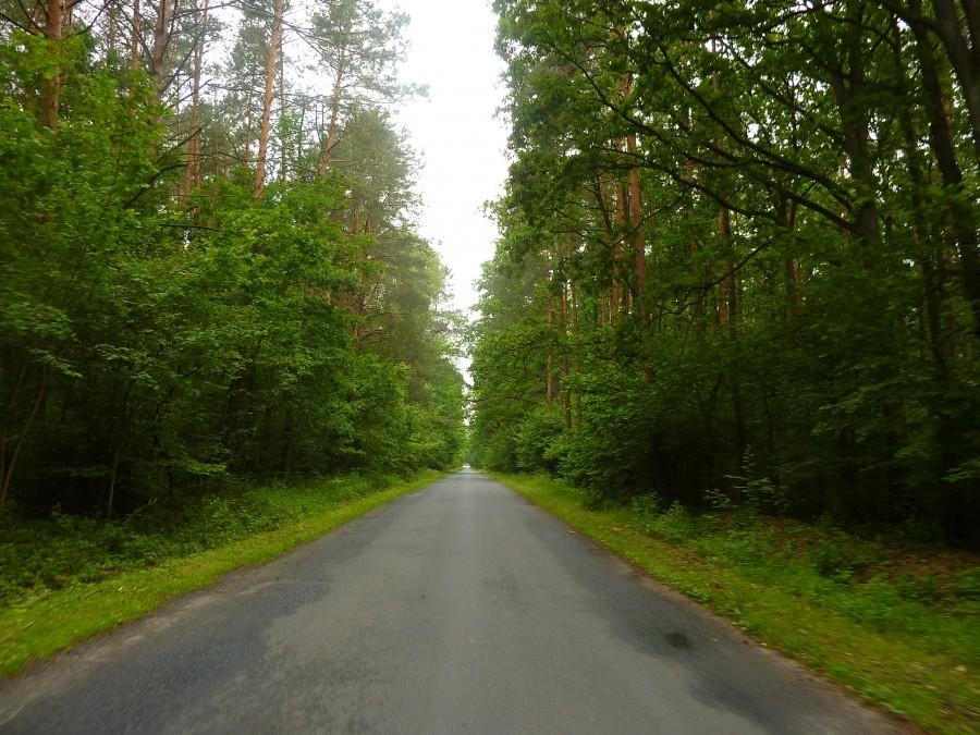 Tak zrobiliśmy kilkadziesiąt kilometrów. Mineły nas 3 samochody