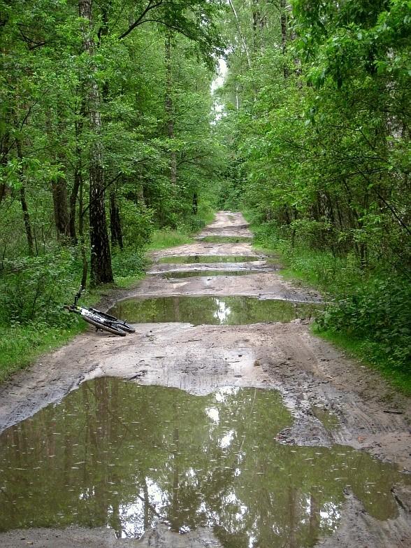 slalom gigant między kałużami