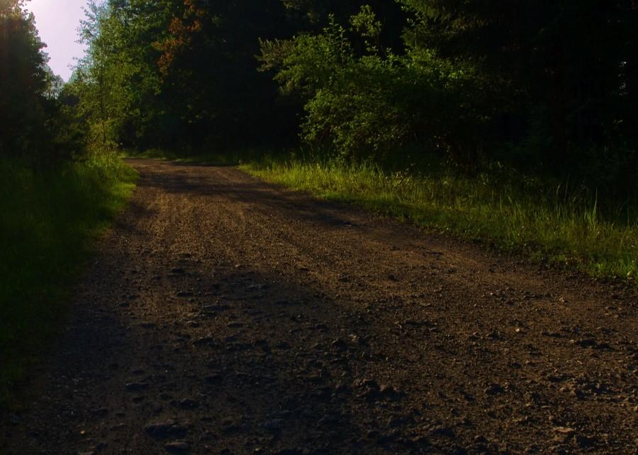 Wieczorową porą na szlaku