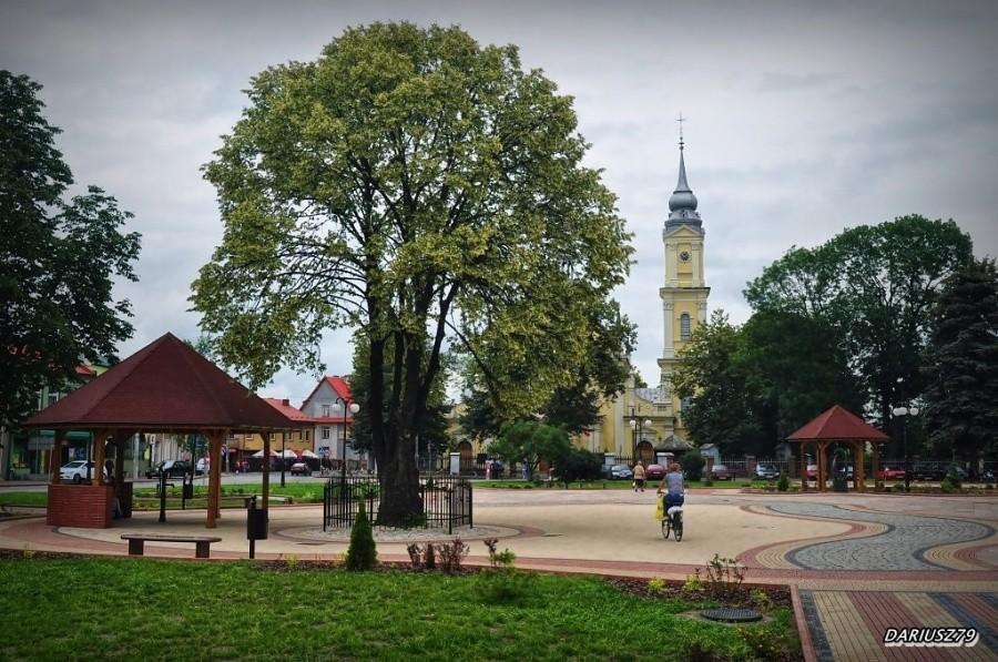 Szczucin - Rynek