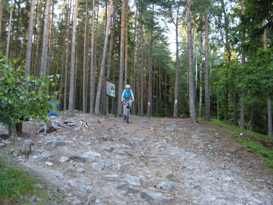 Trasa niedźwiadka i Ryjek docierający do tarasu widokowego.