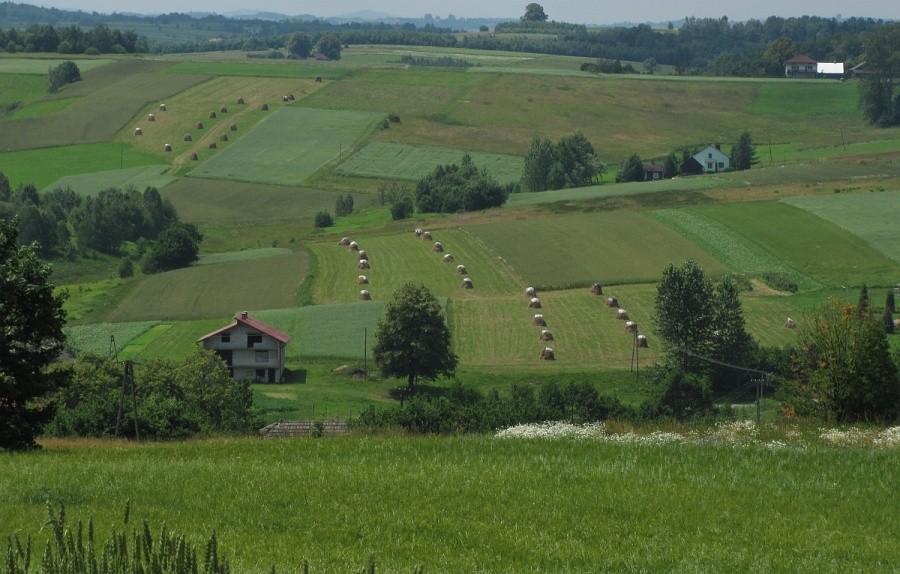 pogórzańska mozaika