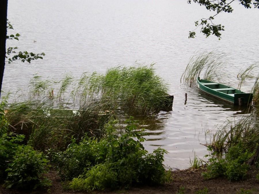 Jezioro Swarzędzkie