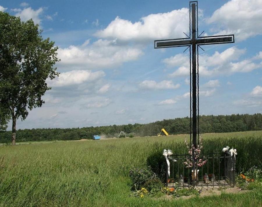 pola wŁbiskach powoli zostają zasypywane ziemią z wykopów