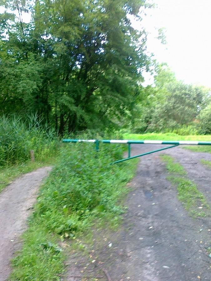 Tu skończyła się leśna droga