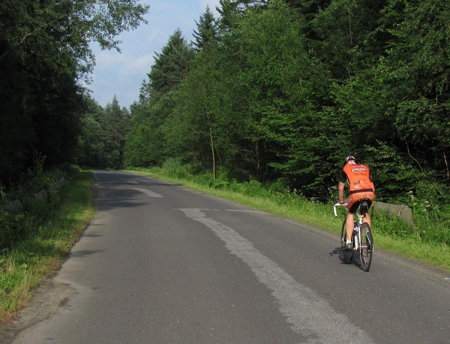 leśne safalty Pienin Gorlickich