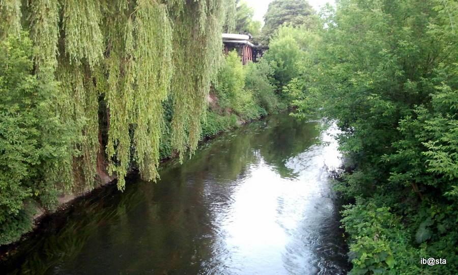 Czarna Przemsza w Będzinie