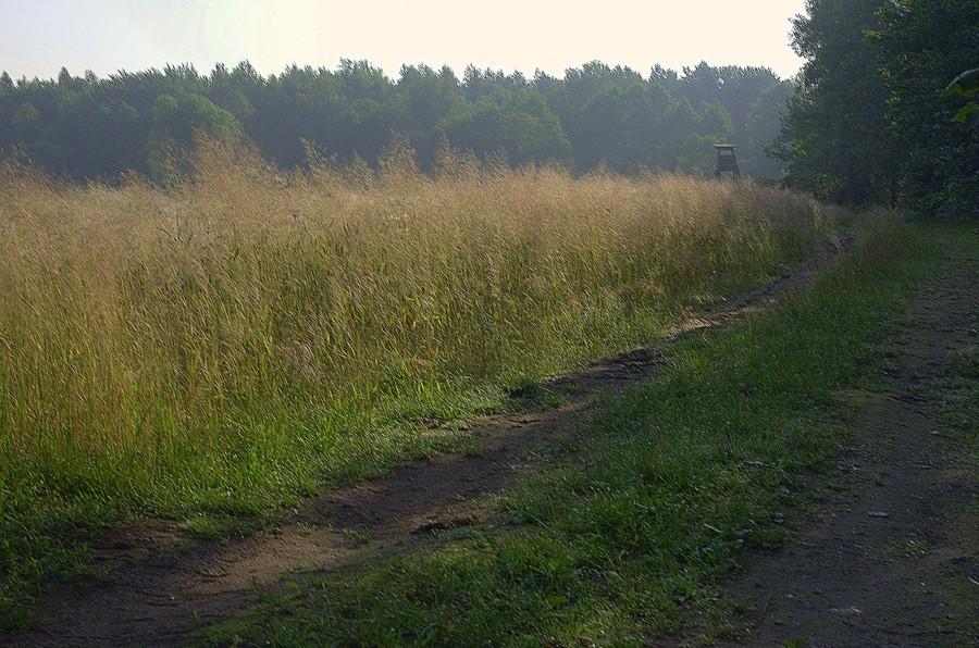 Jak tu pięknie