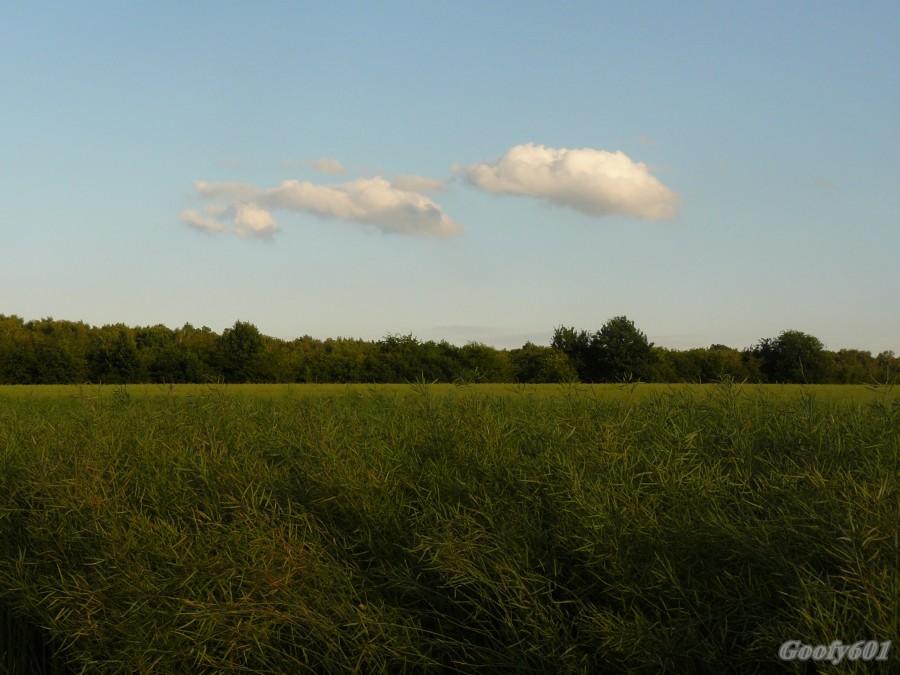 Chmury nad "Strefą"