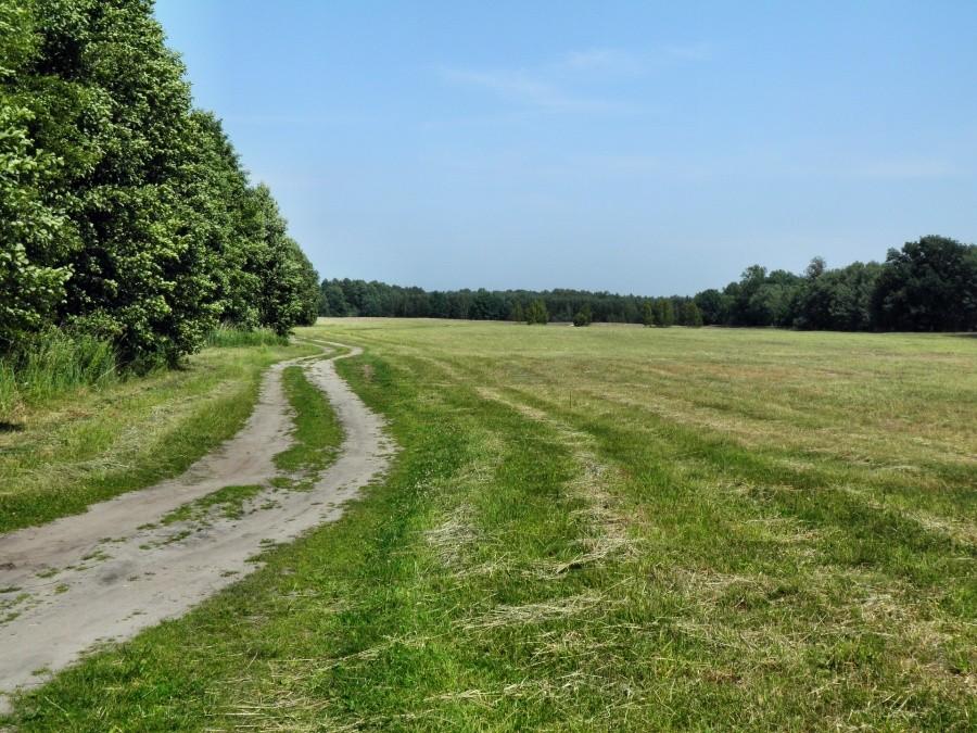 Tak wygląda końcowy odcinek czerwonego szlaku turystycznego prowadzącego do jeziora Świdwie.