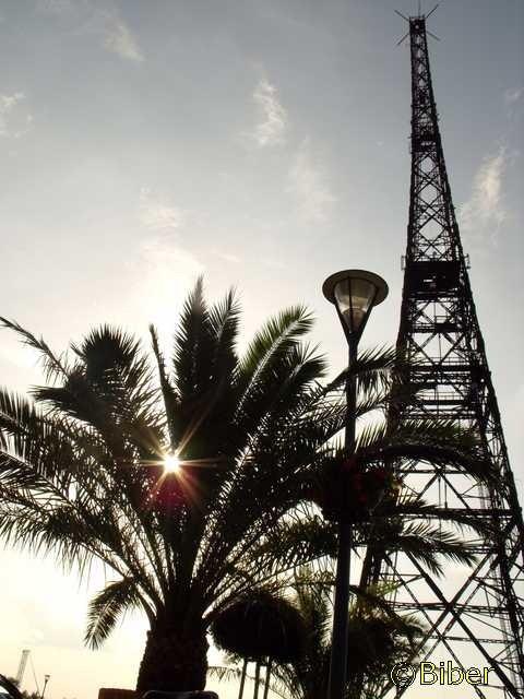 Radiostacja wśród palm