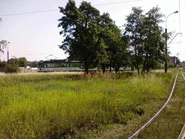 Tramwaj 46 na pętli